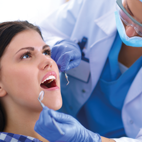 Dental Insurance