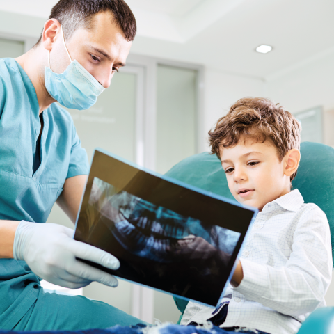 Seguro Dental